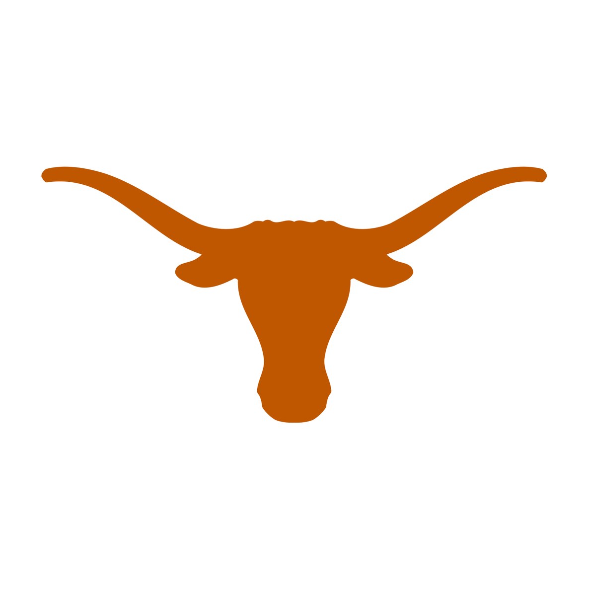The University of Texas at Austin