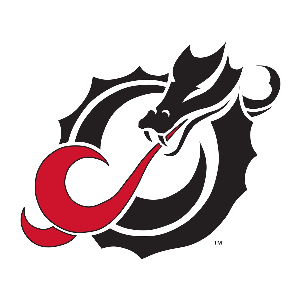 Minnesota State University Moorhead