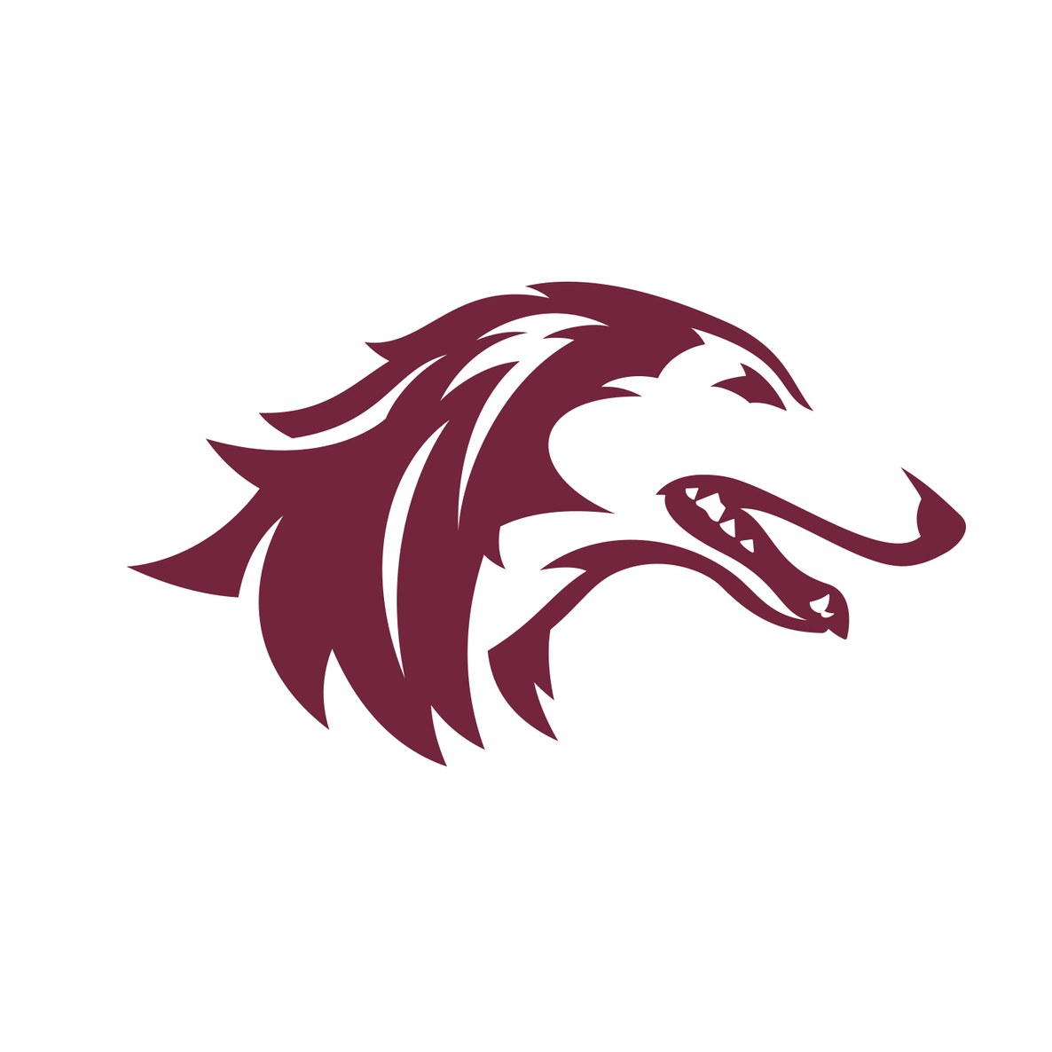 Southern Illinois University Carbondale
