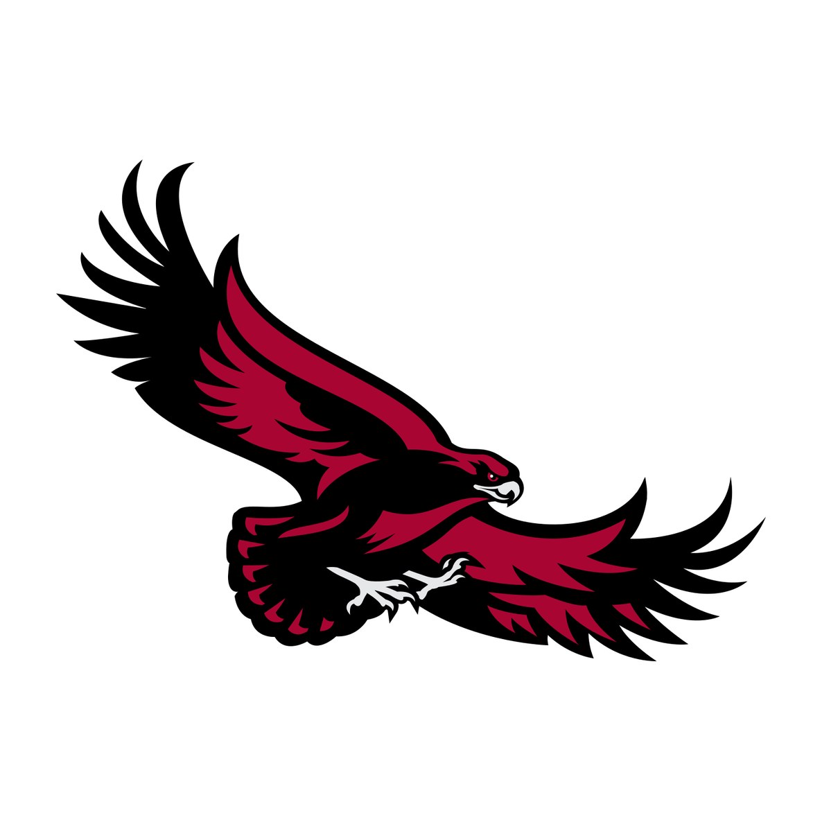 Saint Joseph's University