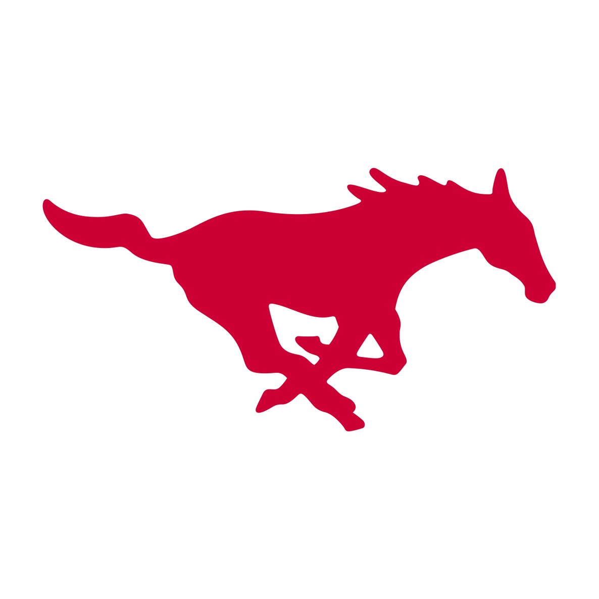 Southern Methodist University