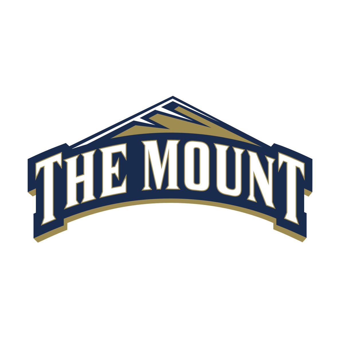 Mount Saint Mary's University