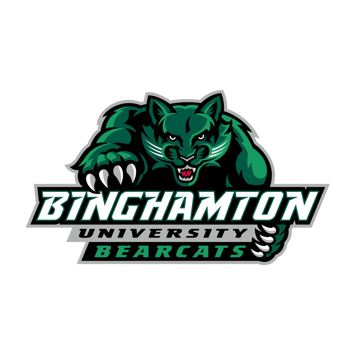 State University of New York at Binghamton