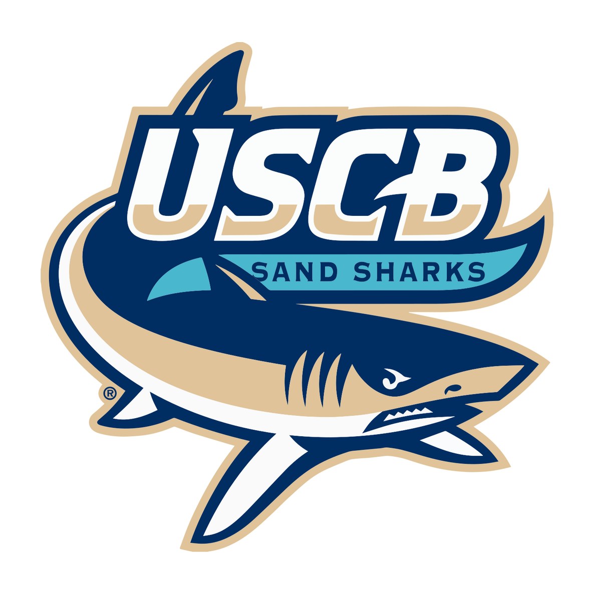 University of South Carolina Beaufort