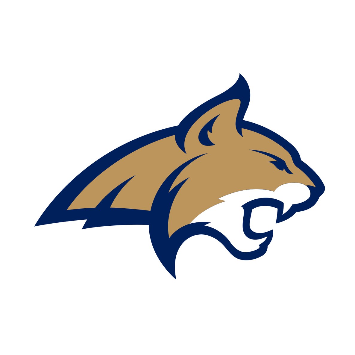 Montana State University