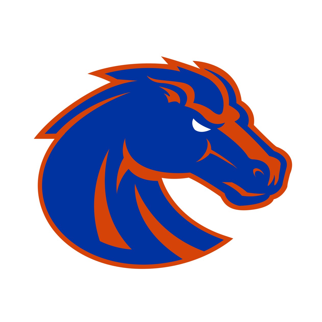 Boise State University