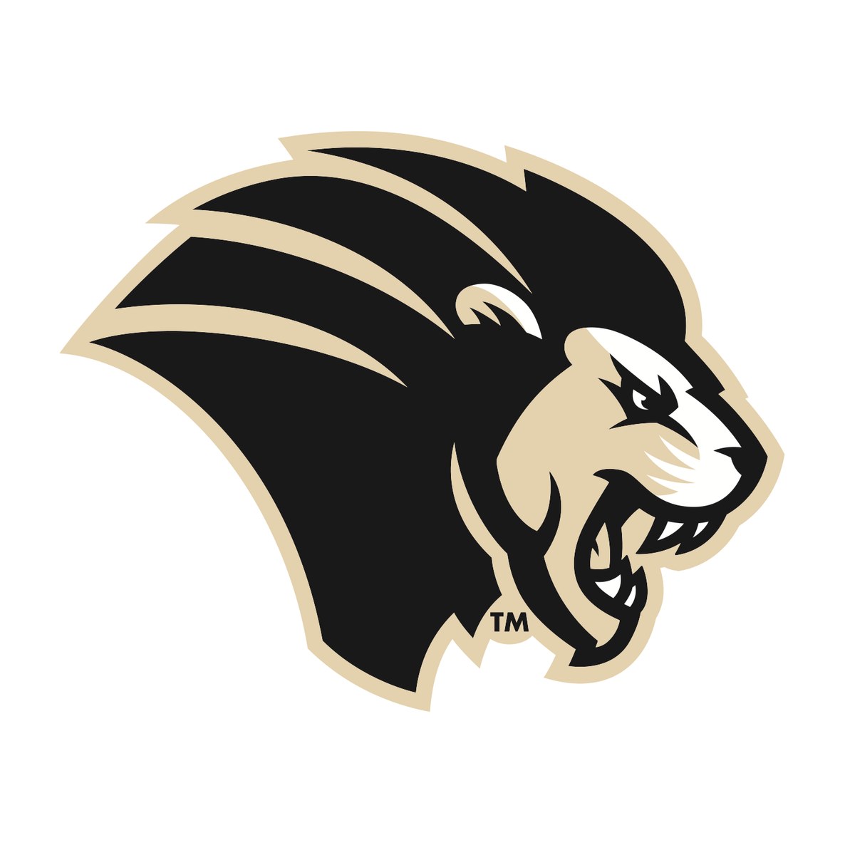 Purdue University Northwest