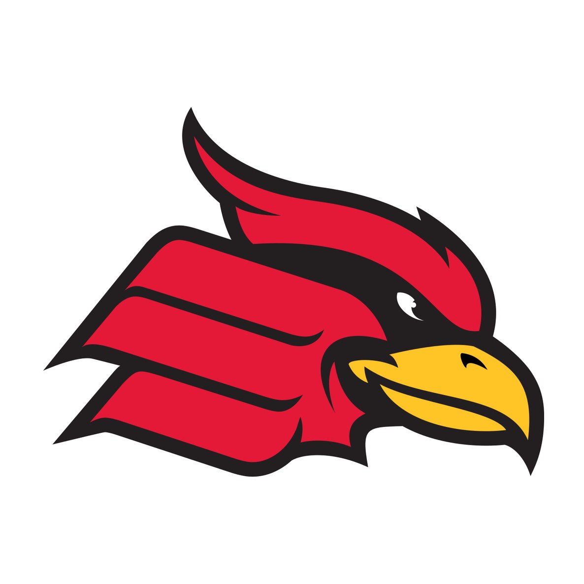 Wheeling University