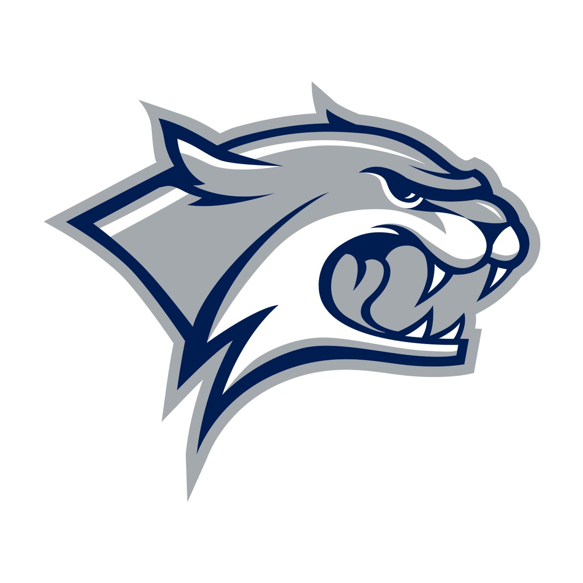 University of New Hampshire