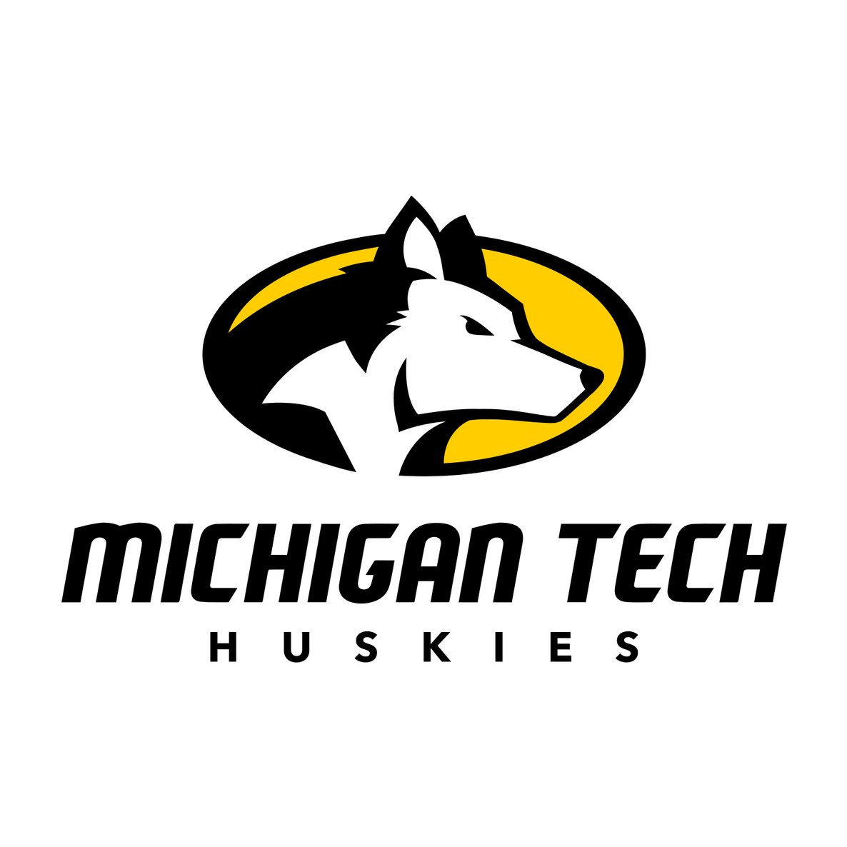 Michigan Technological University