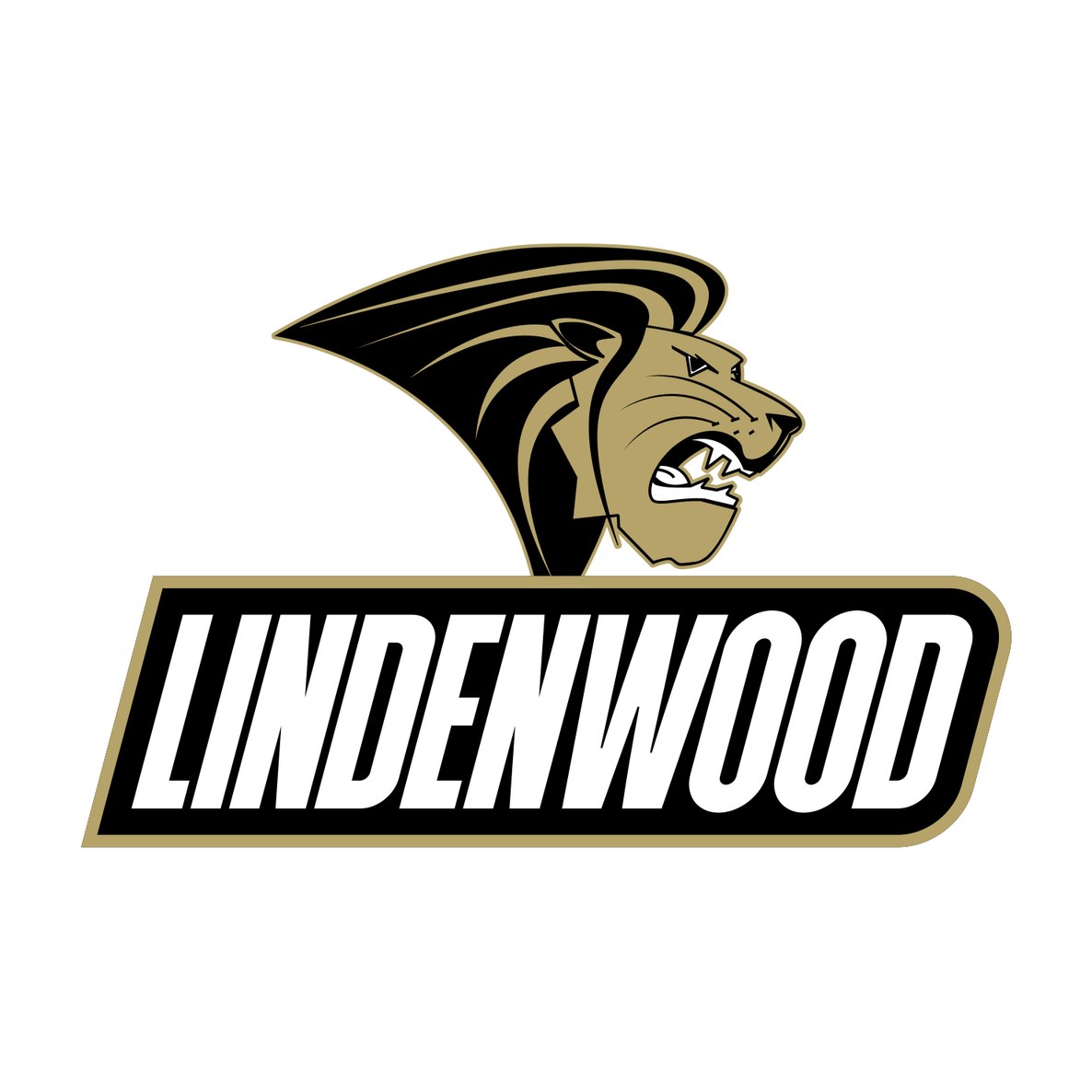 Lindenwood University