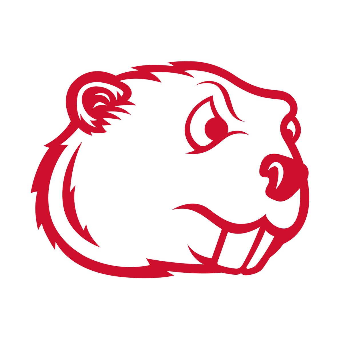 Minot State University