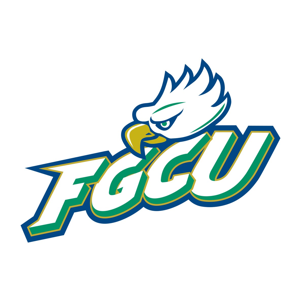 Florida Gulf Coast University