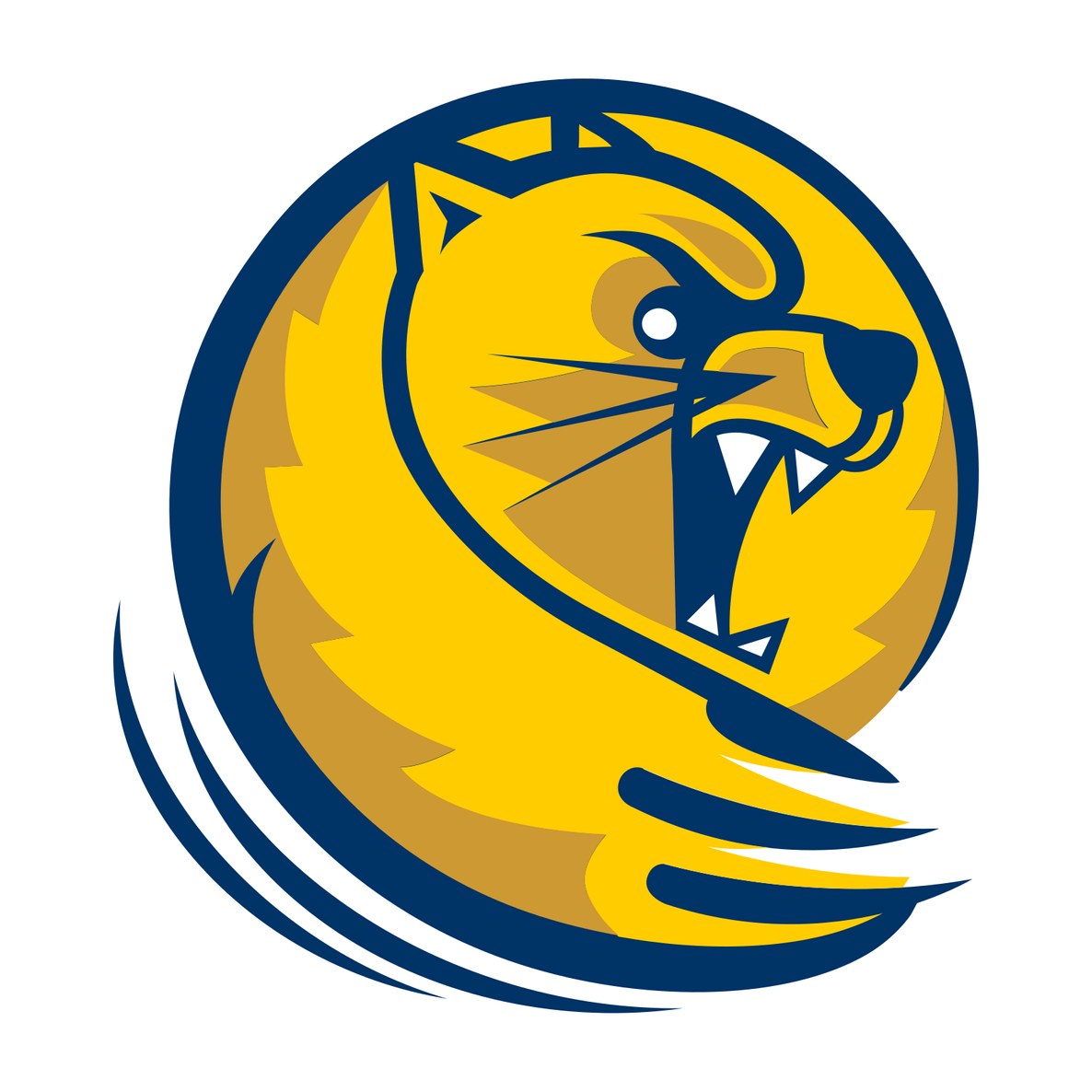 Lander University