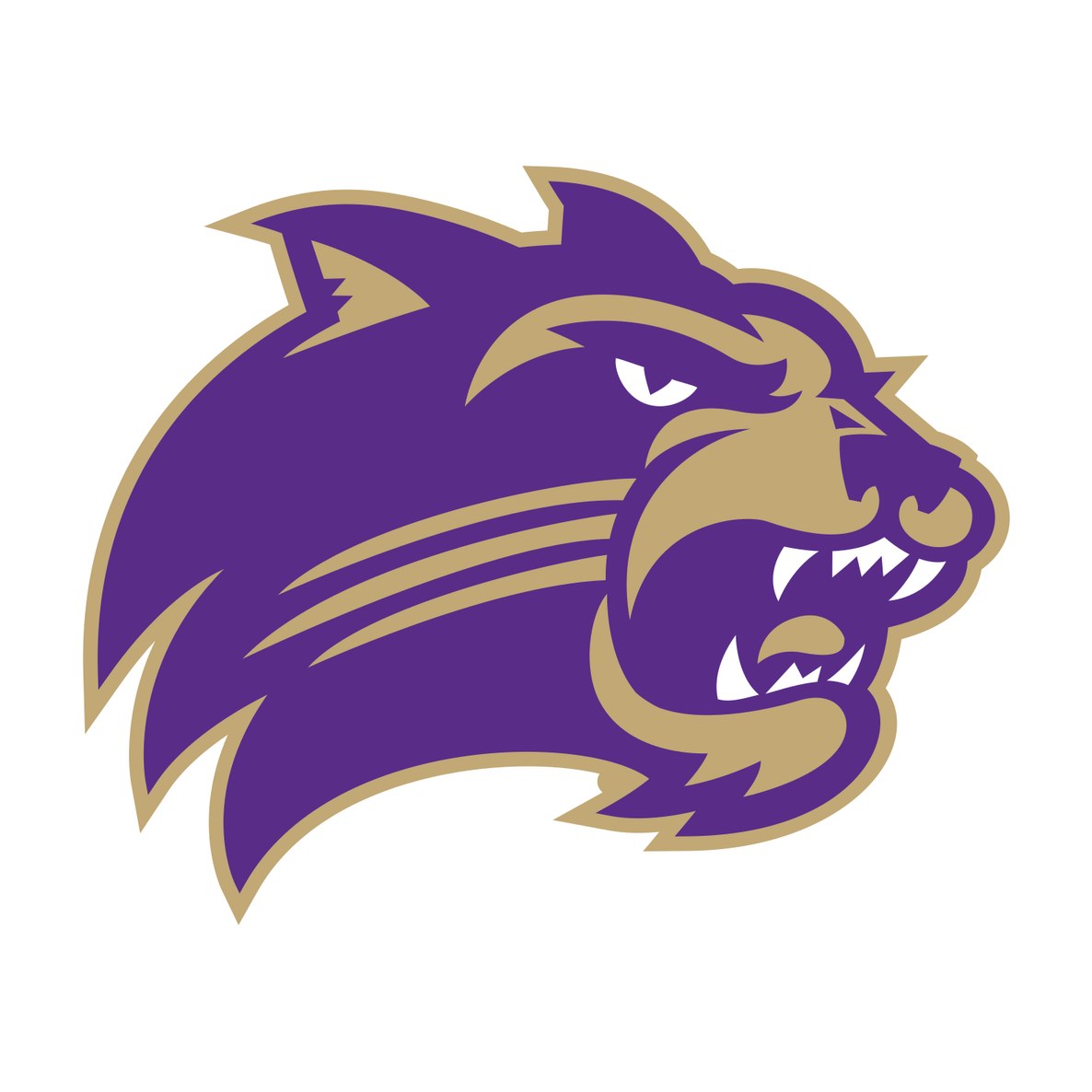 Western Carolina University