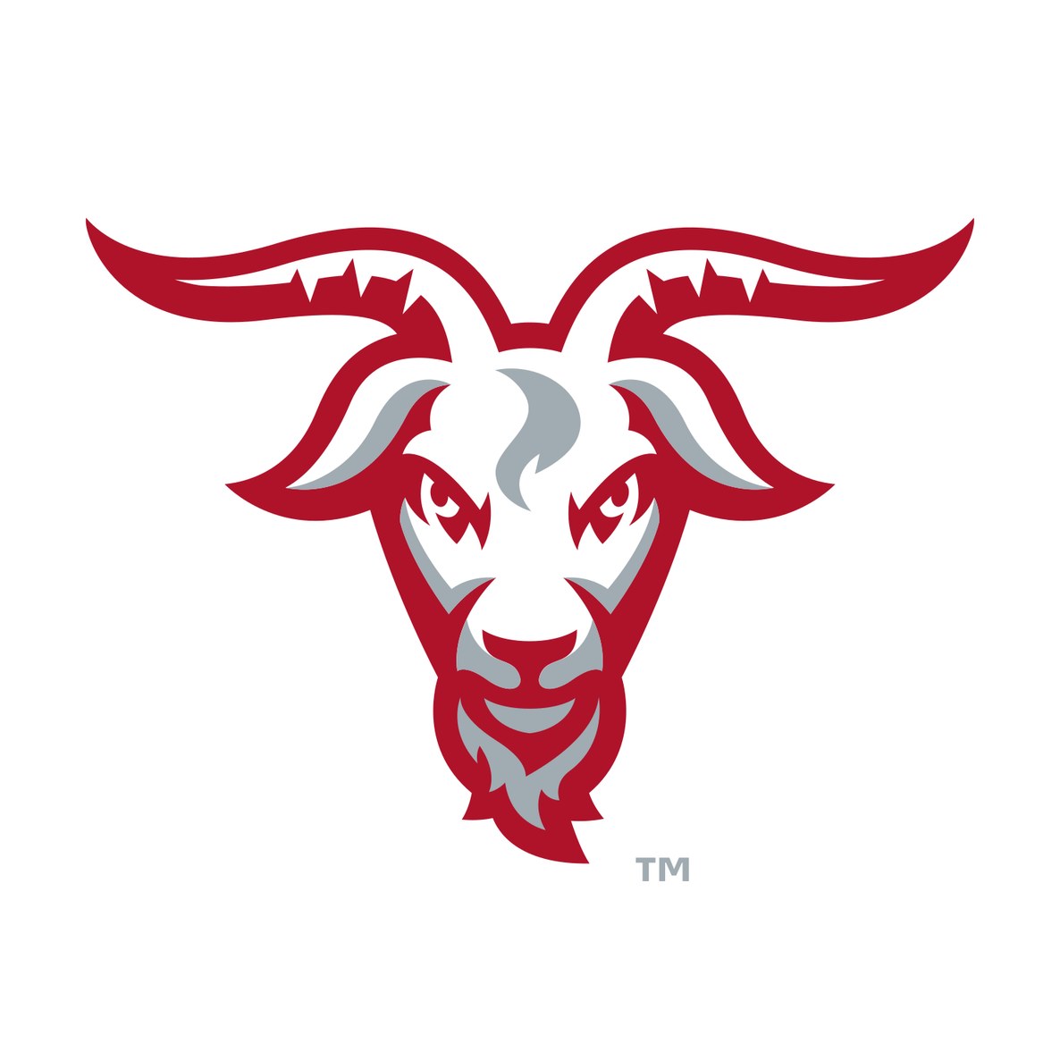Worcester Polytechnic Institute