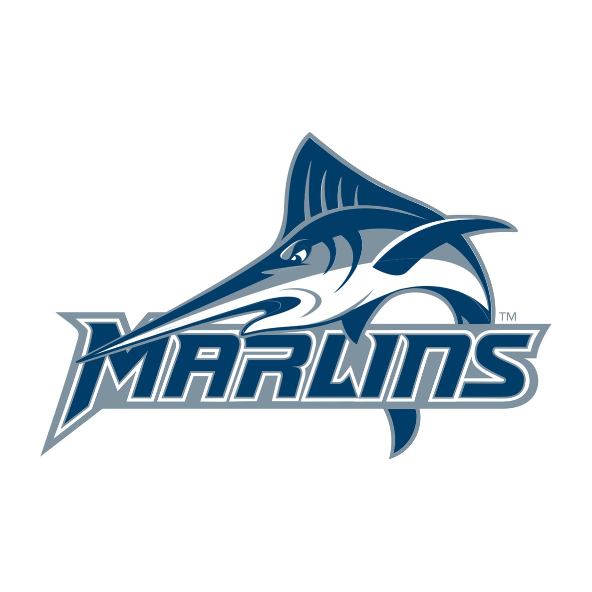 Virginia Wesleyan University