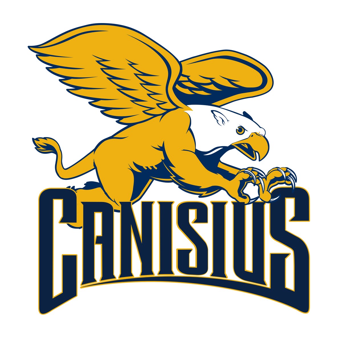 Canisius University