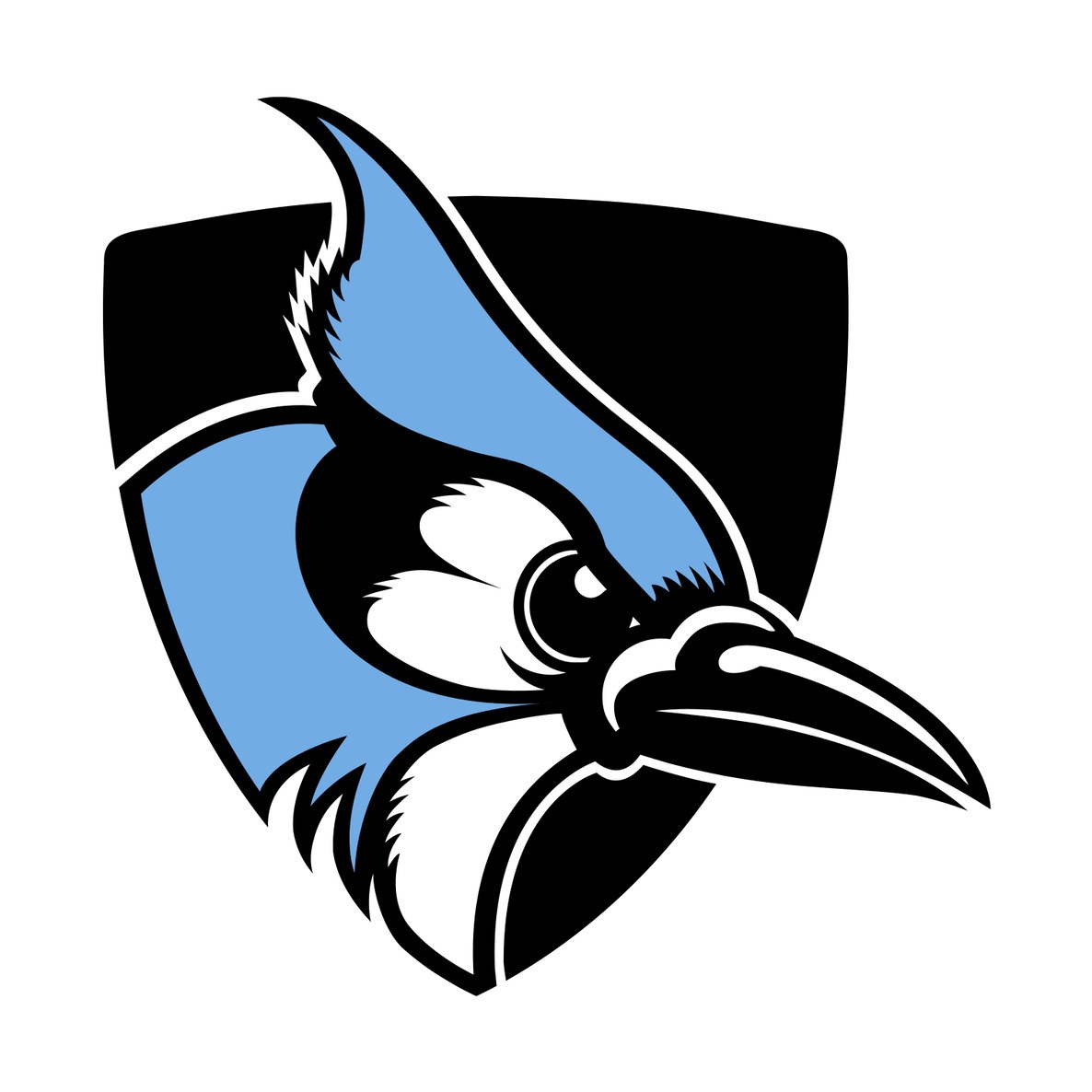 Johns Hopkins University