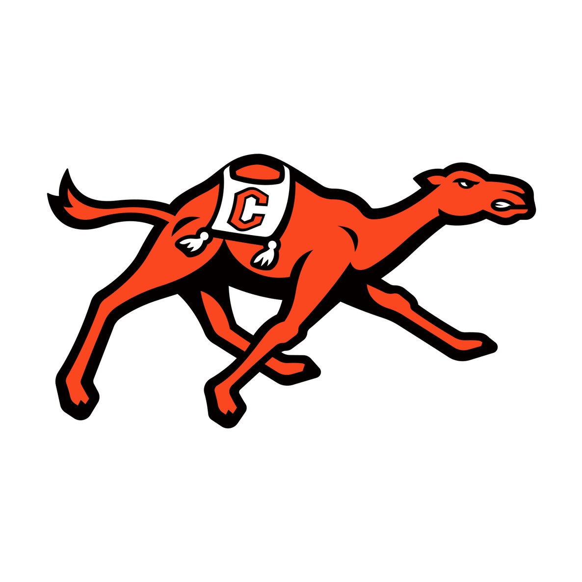 Campbell University