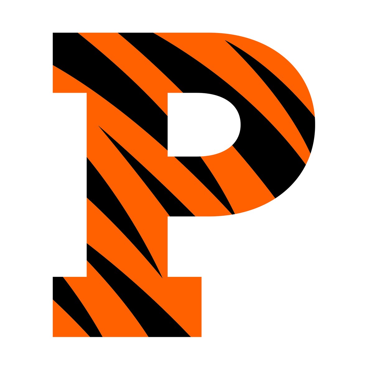 Princeton University