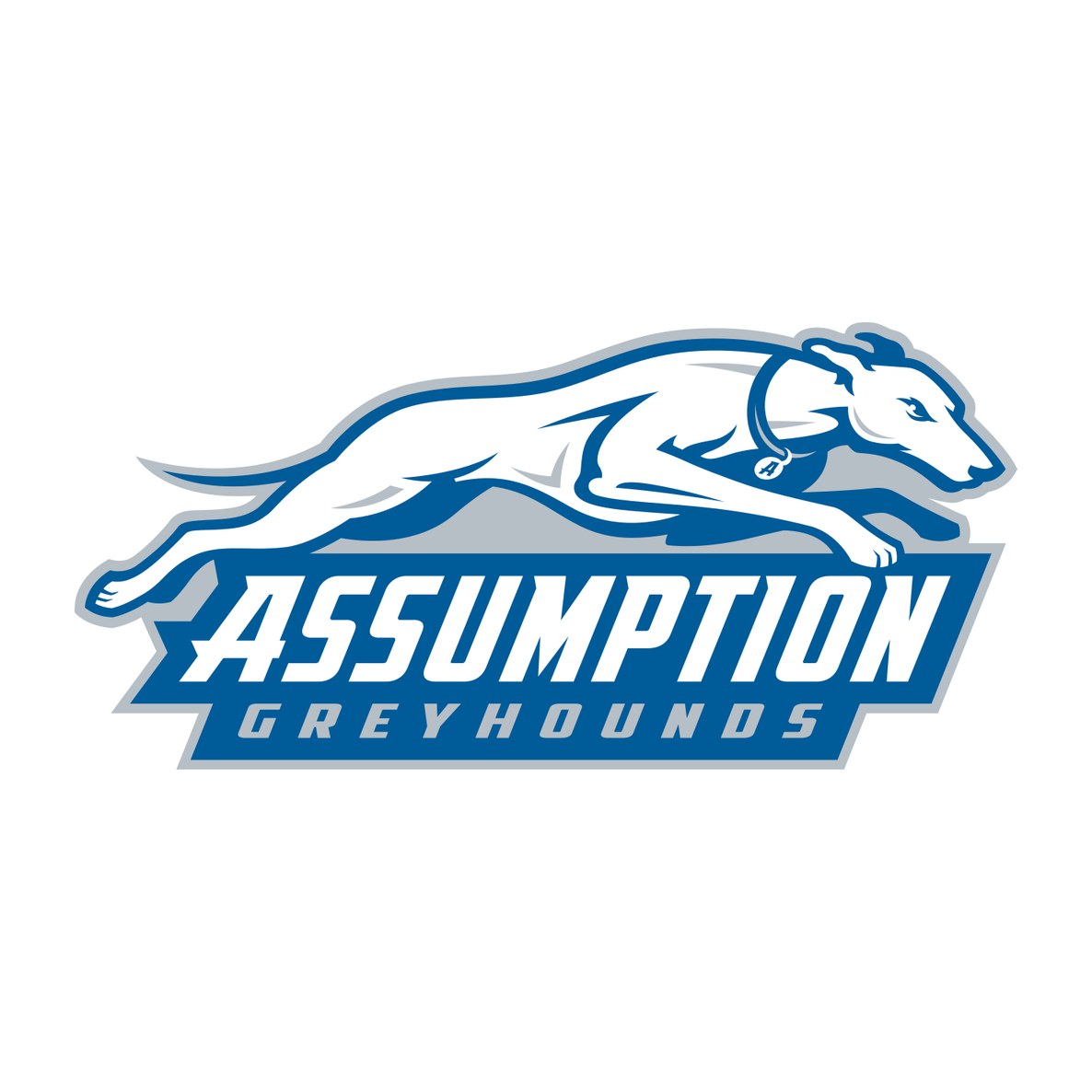 Assumption University