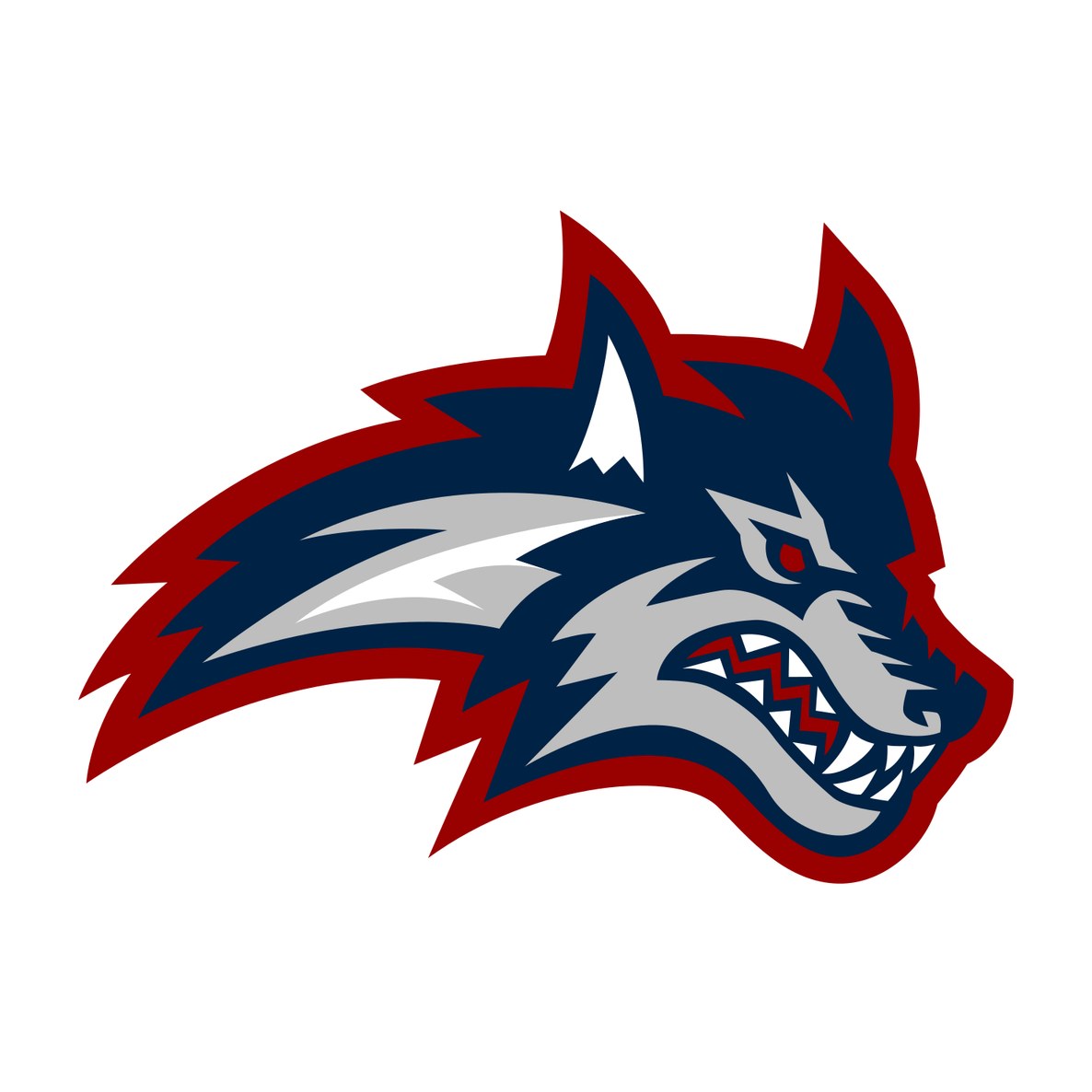State University of New York at Stony Brook