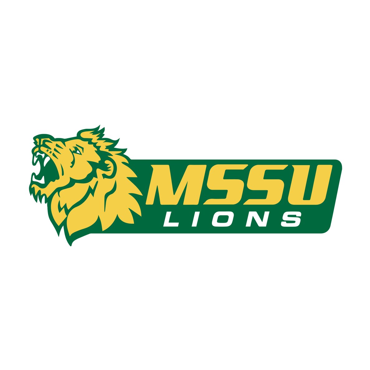 Missouri Southern State University