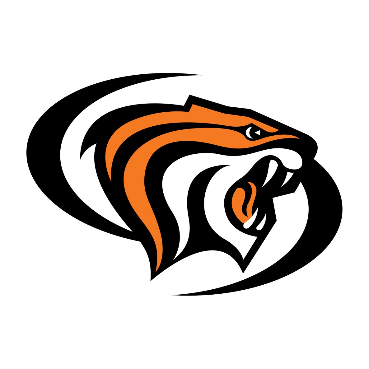 University of the Pacific