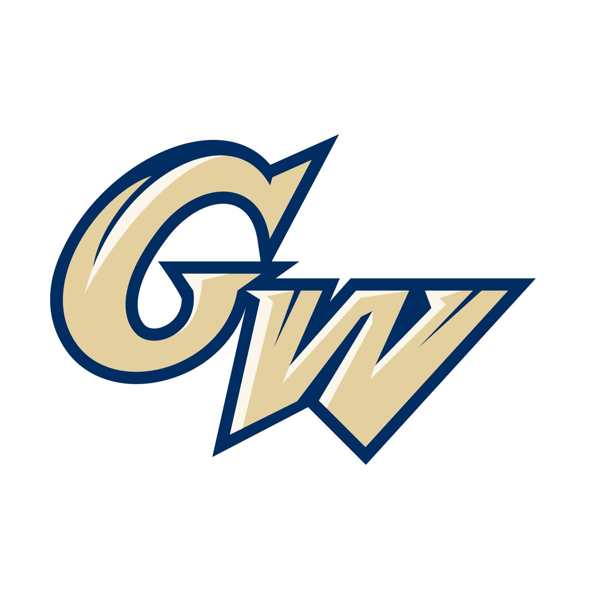 The George Washington University